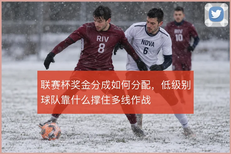 联赛杯奖金分成如何分配，低级别球队靠什么撑住多线作战